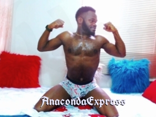 AnacondaExpress