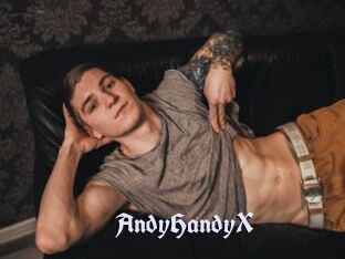 AndyHandyX