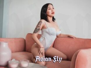 Asian_Fly