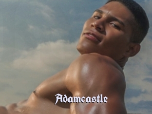 adamcastle Bdsm Blog