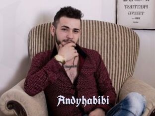 Andyhabibi