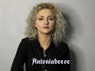 Antoniabeese