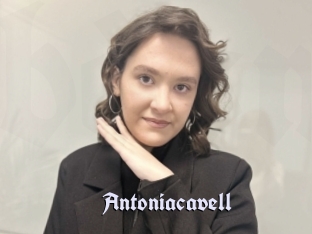 Antoniacavell