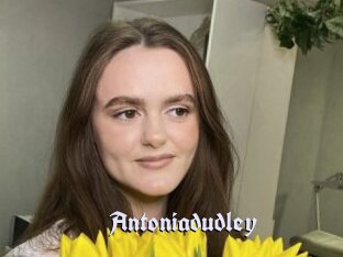 Antoniadudley