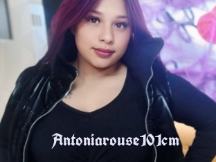 Antoniarouse101cm