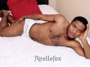 Apollofox