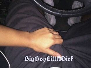 BigBoyLittleDick