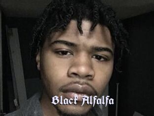 Black_Alfalfa