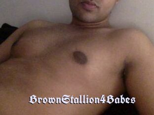 BrownStallion4Babes