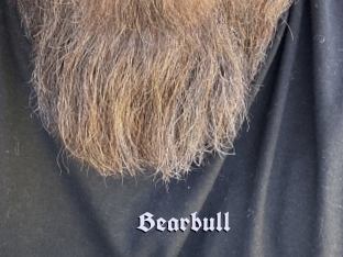 Bearbull