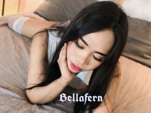 Bellafern