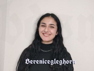 Berenicegleghorn