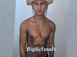 bigdicksnake Bdsm Blog