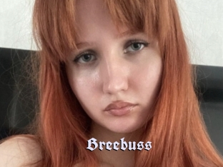 Breebuss