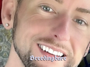 breedingbare Bdsm Blog