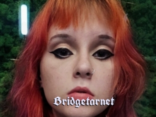 Bridgetarnet