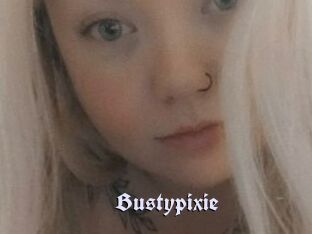 Bustypixie