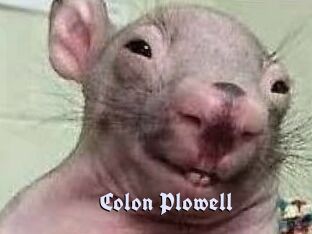 Colon_Plowell