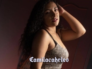 camilacahrles Bdsm Blog