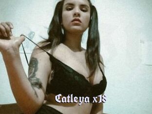 Catleya_x18