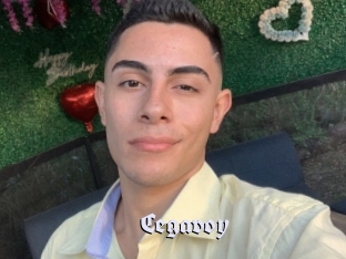 Cegavoy