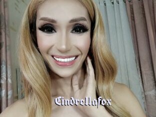Cindrellafox