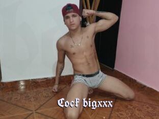 Cock_bigxxx