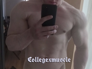 Collegexmuscle