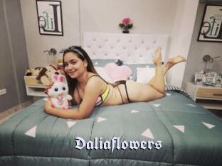 Daliaflowers