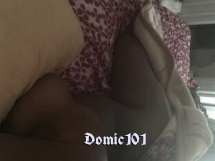 Domic101