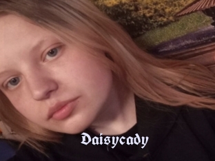 Daisycady