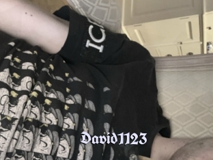 David1123