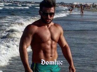 Domluc