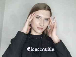 Elenecaudle