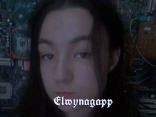 Elwynagapp