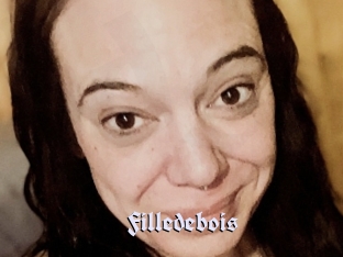 Filledebois