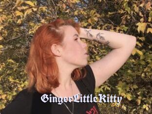 GingerLittleKitty