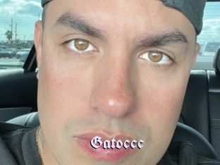 Gatoccc