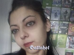 Gattahot