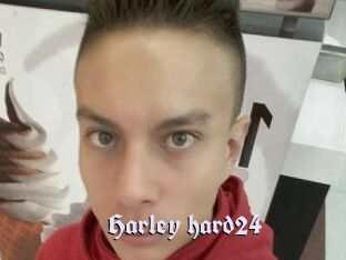 Harley_hard24