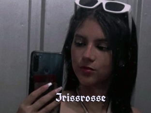 Irissrosse