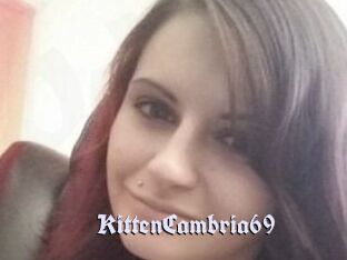 KittenCambria69