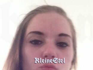 KleineStel