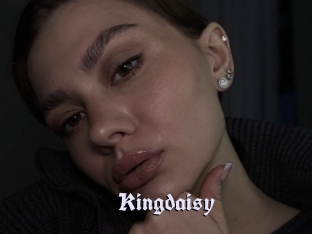 Kingdaisy