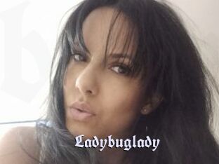 Ladybuglady