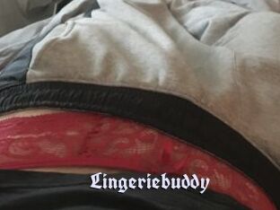 Lingeriebuddy