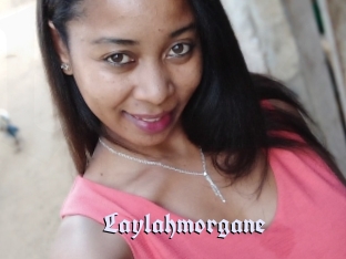 Laylahmorgane