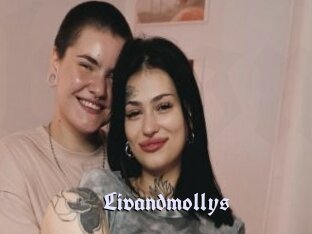 Livandmollys