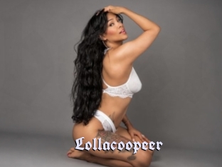 Lollacoopeer