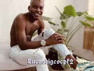 Lucasbigcocpk2